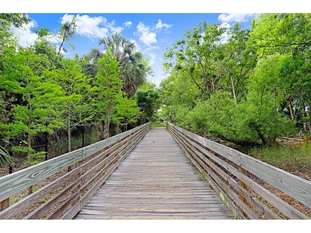 13602 S Village Drive #1205 Tampa FL 33618 TB8494368 image41