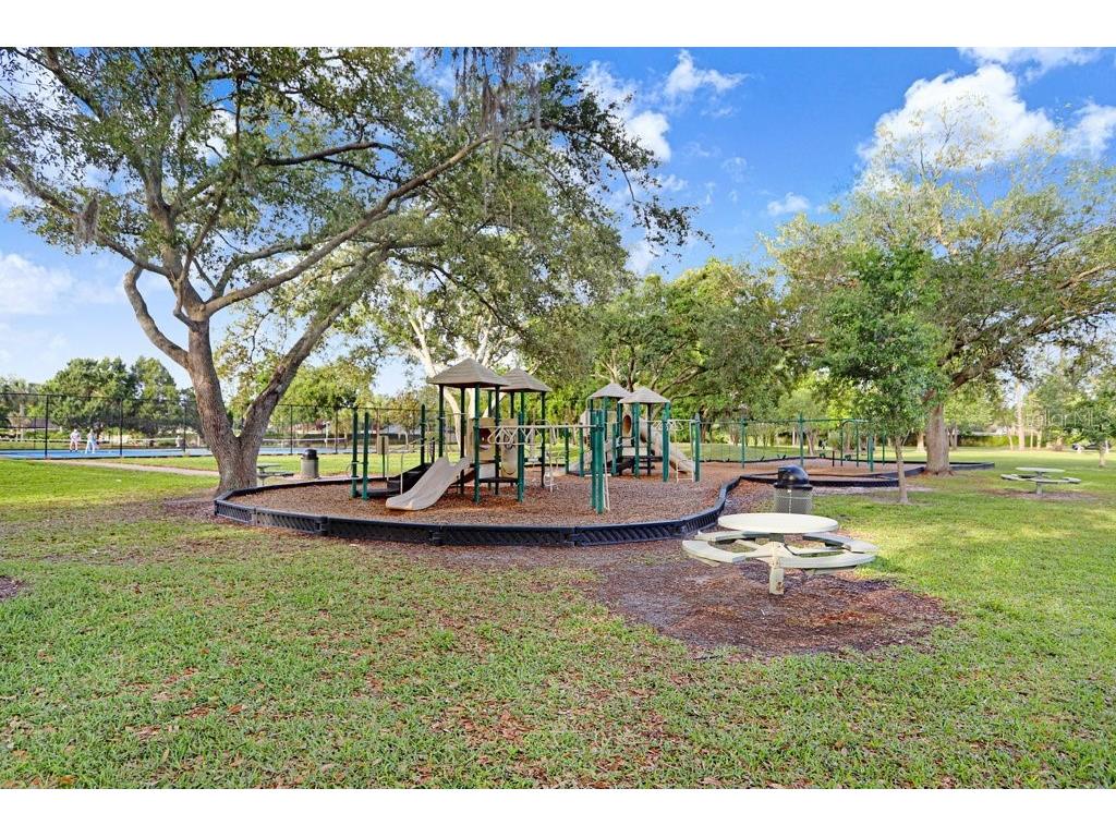 13602 S Village Drive #1205 Tampa FL 33618 TB8494368 image46