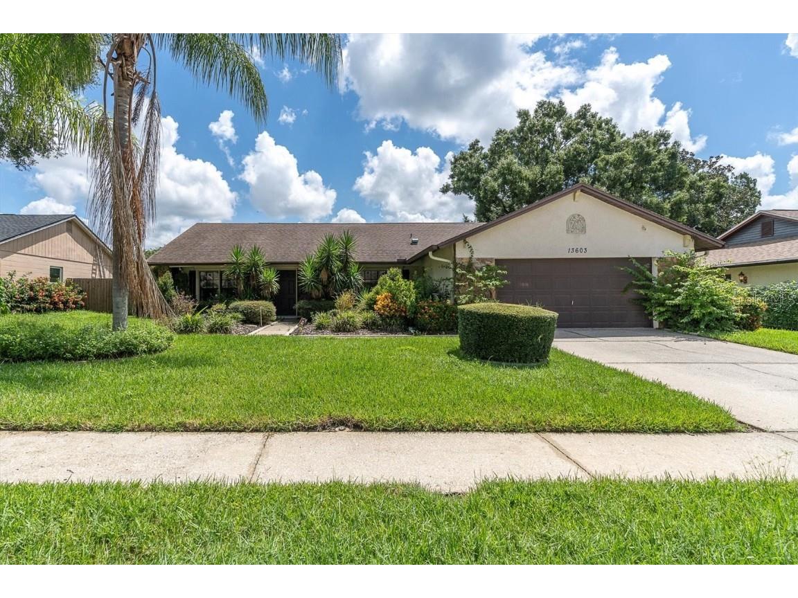 13603 Cozy Place Tampa FL 33625 W7867833 image1