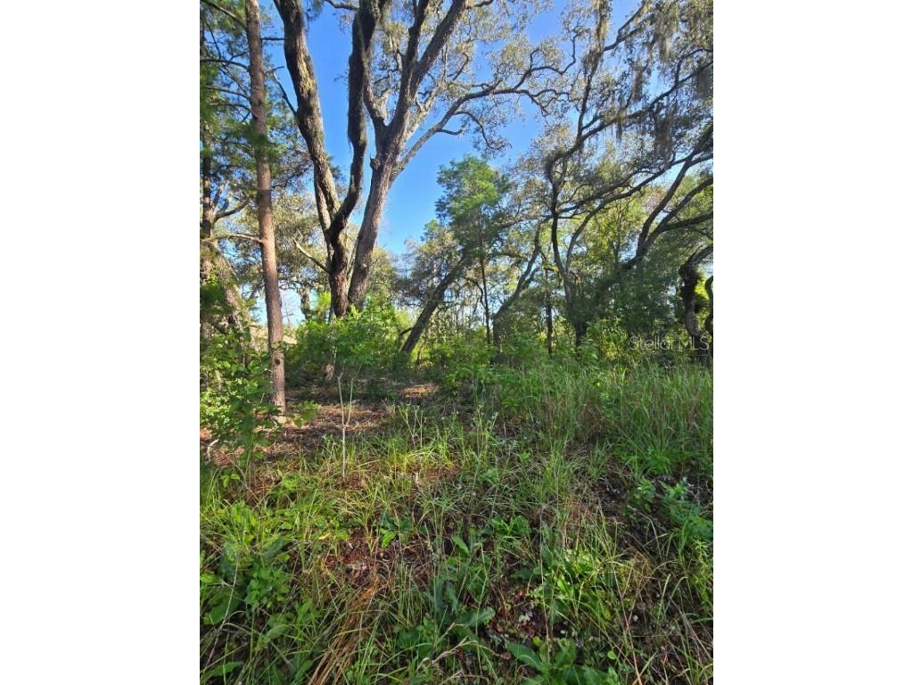 13603 Gopher Pond Court Hudson FL 34669 TB8418284 image1