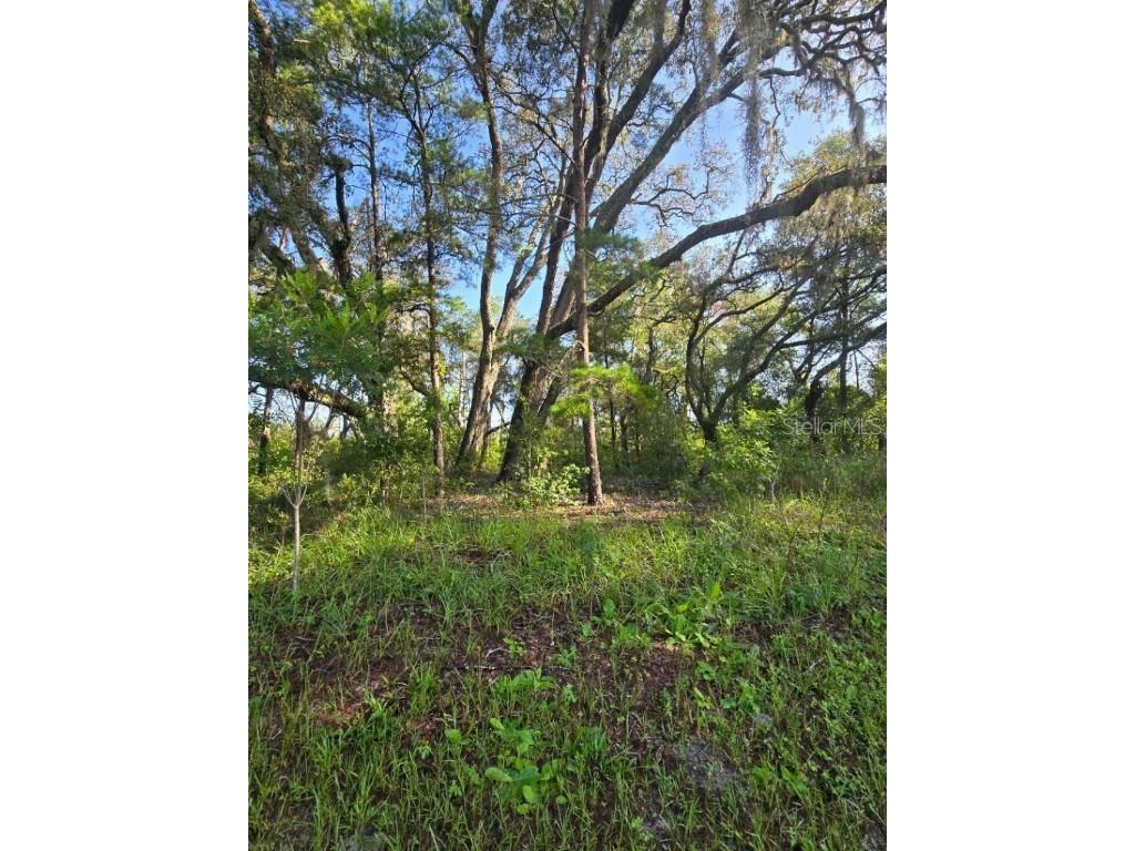 13603 Gopher Pond Court Hudson FL 34669 TB8418284 image2