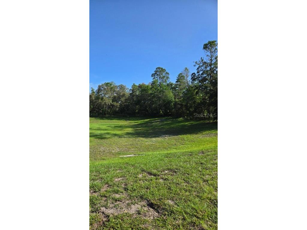 13603 Gopher Pond Court Hudson FL 34669 TB8418284 image3