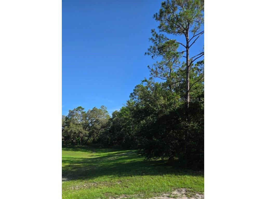 13603 Gopher Pond Court Hudson FL 34669 TB8418284 image4