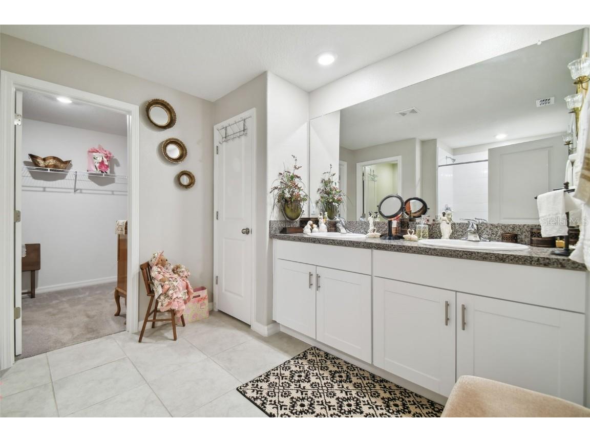 13603 Wild Ginger Street Riverview FL 33579 TB8385831 image22