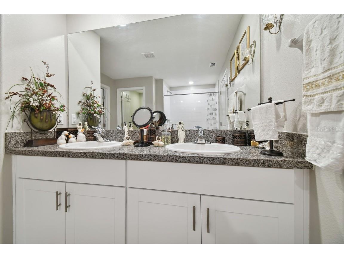 13603 Wild Ginger Street Riverview FL 33579 TB8385831 image23