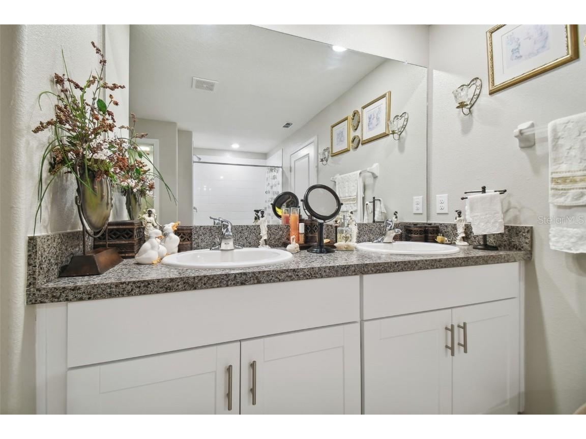 13603 Wild Ginger Street Riverview FL 33579 TB8385831 image24