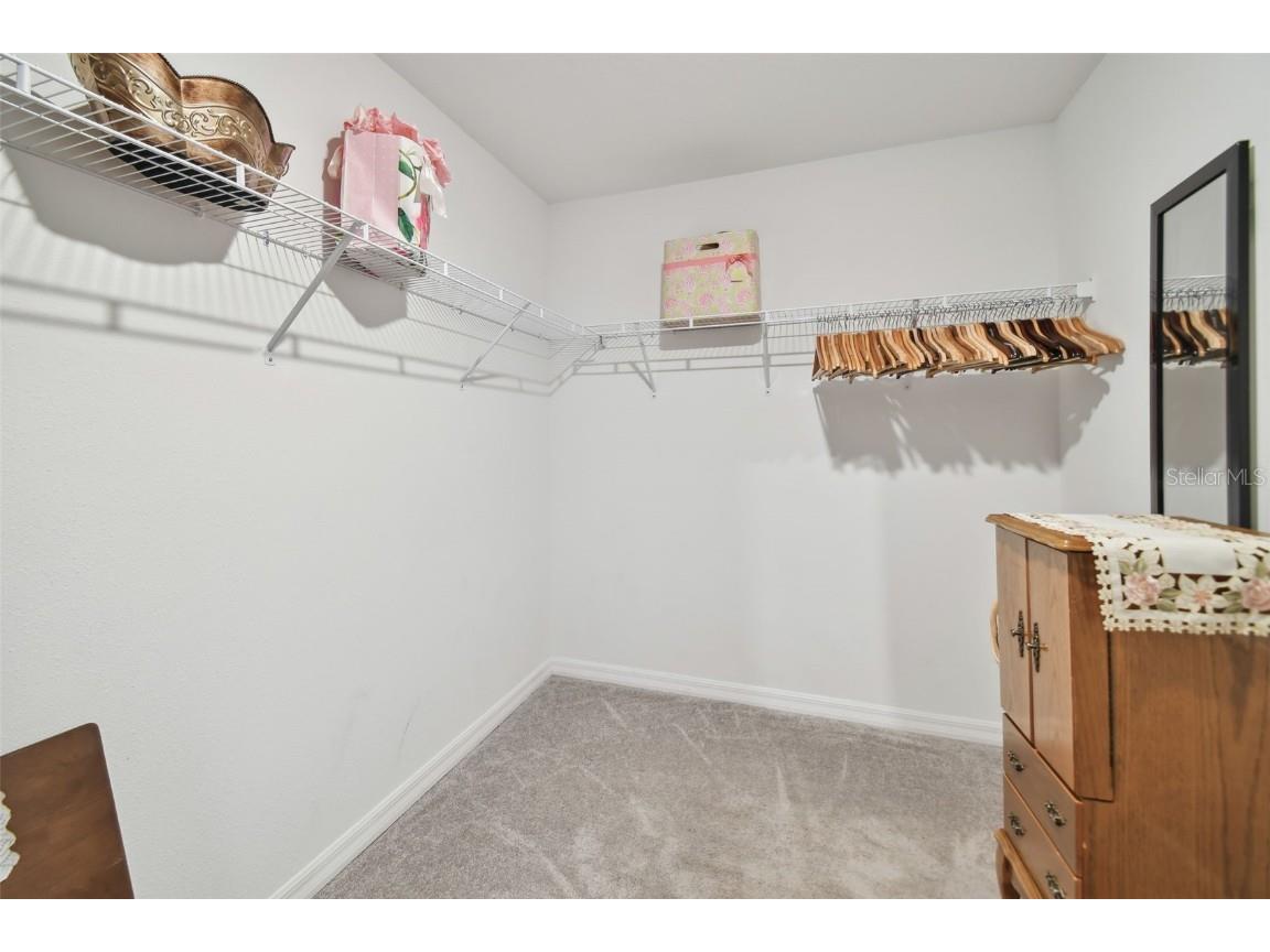 13603 Wild Ginger Street Riverview FL 33579 TB8385831 image26