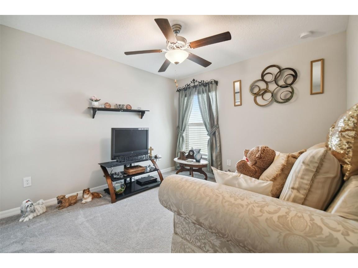 13603 Wild Ginger Street Riverview FL 33579 TB8385831 image30