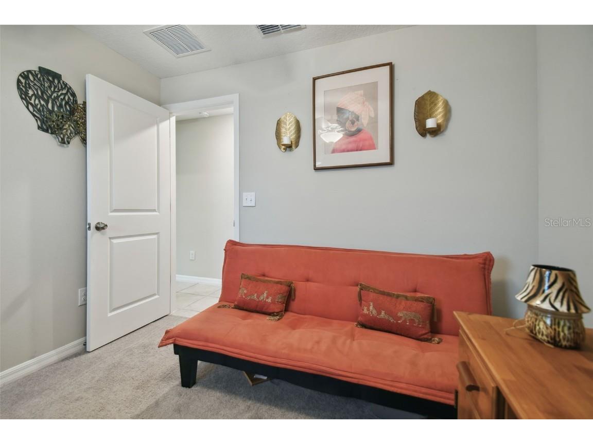 13603 Wild Ginger Street Riverview FL 33579 TB8385831 image33