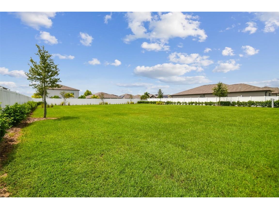 13603 Wild Ginger Street Riverview FL 33579 TB8385831 image34