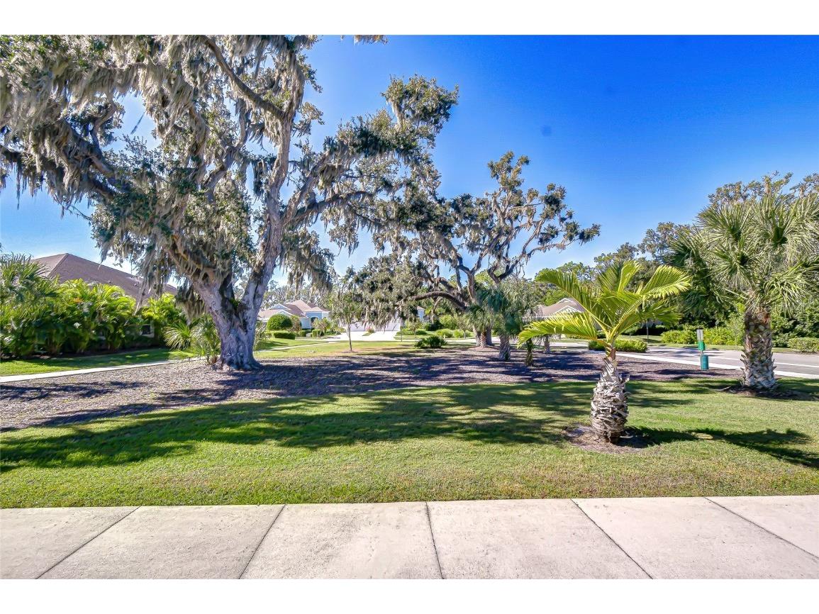 13605 Circa Crossing Drive Lithia FL 33547 TB8444988 image26