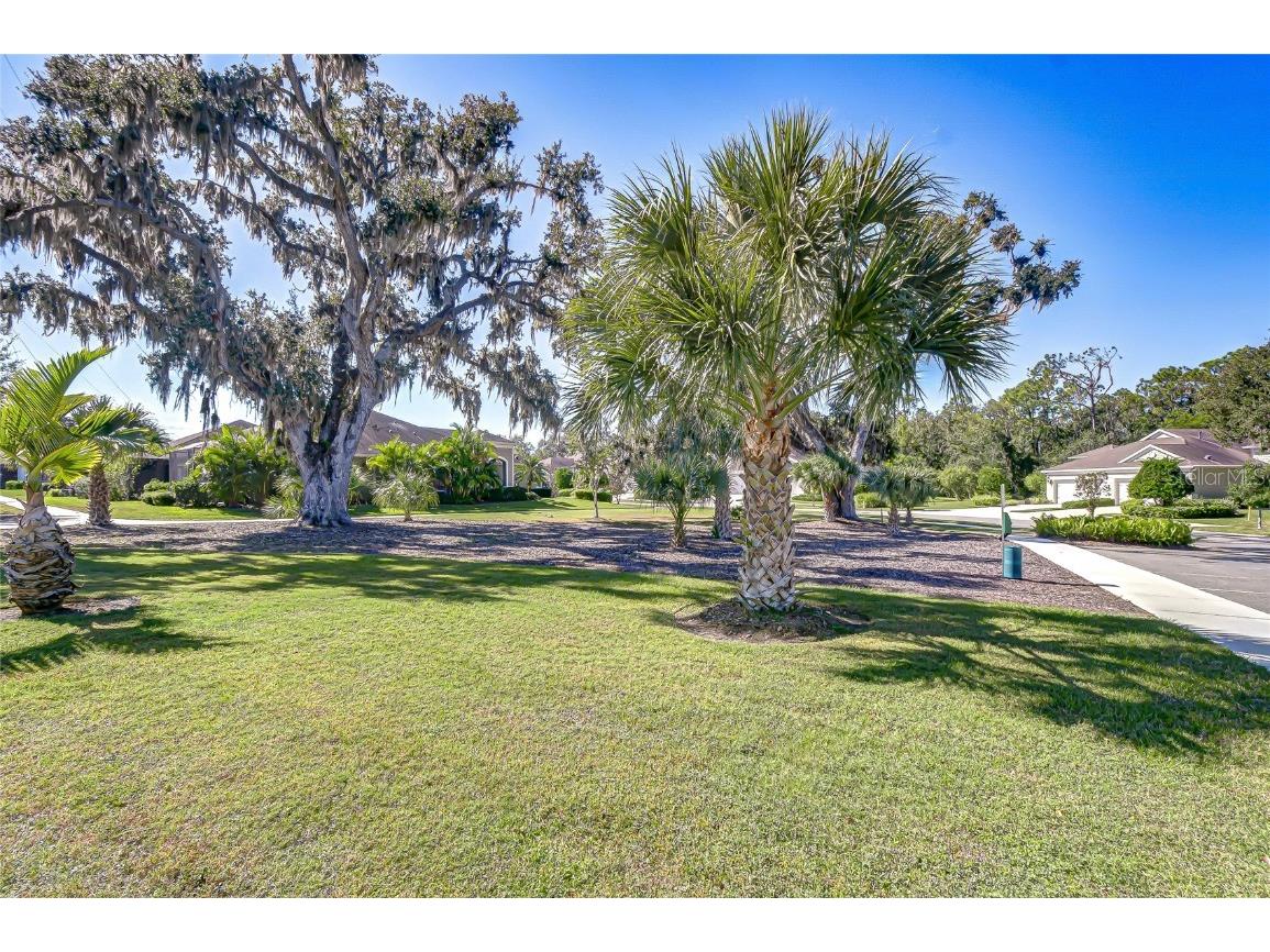 13605 Circa Crossing Drive Lithia FL 33547 TB8444988 image27