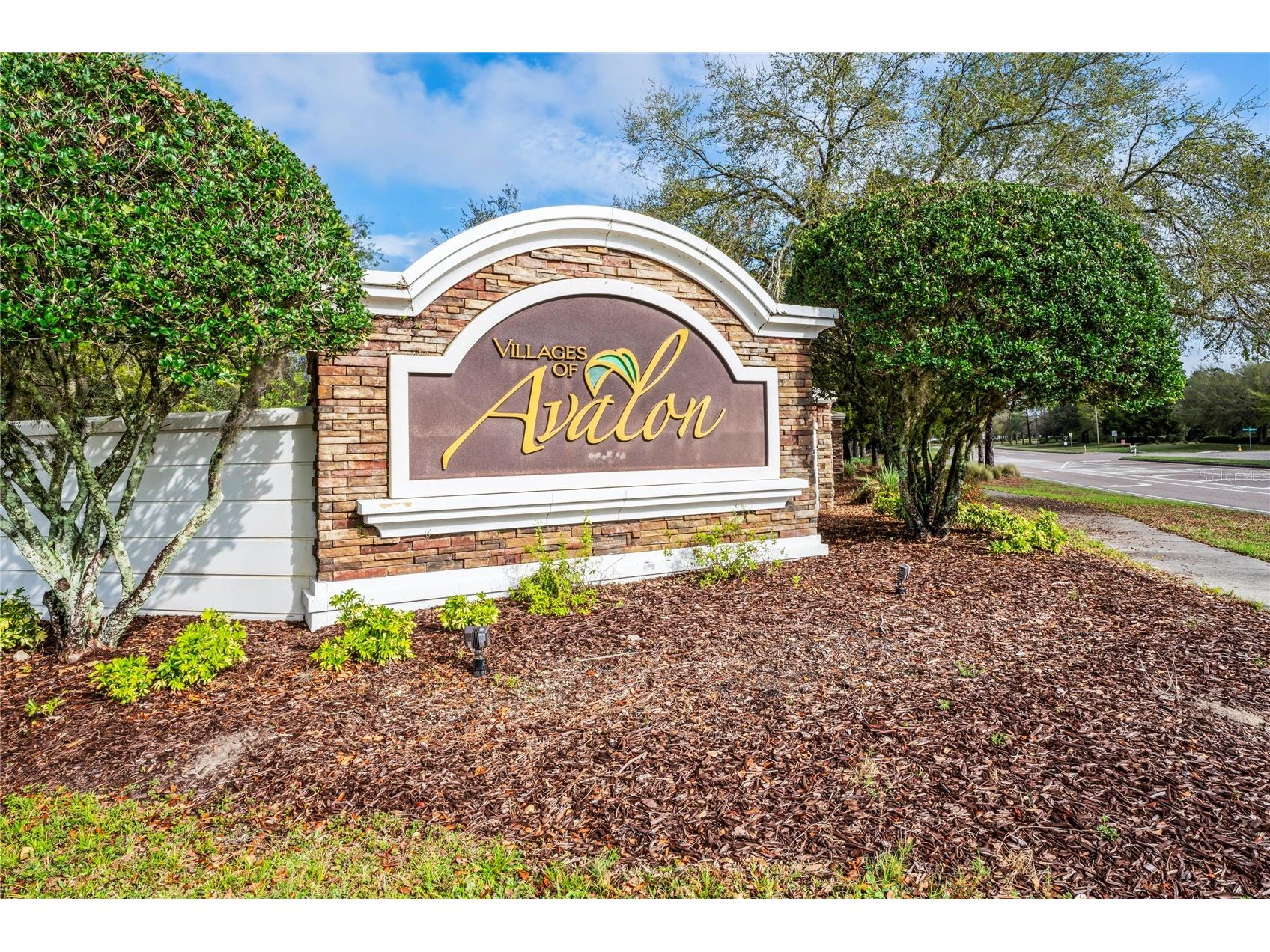 13605 Paddington Way Spring Hill FL 34609 W7885306 image55