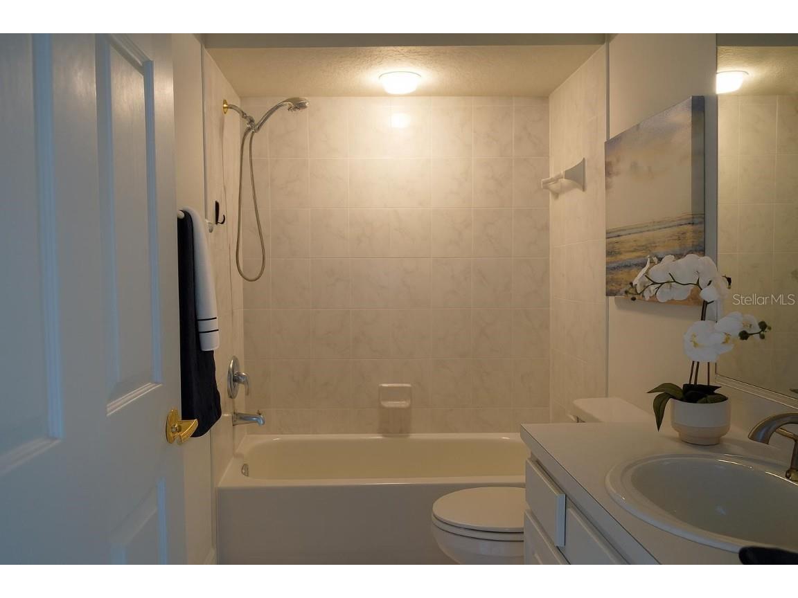 13606 Eagles Walk Drive Clearwater FL 33762 TB8415010 image14