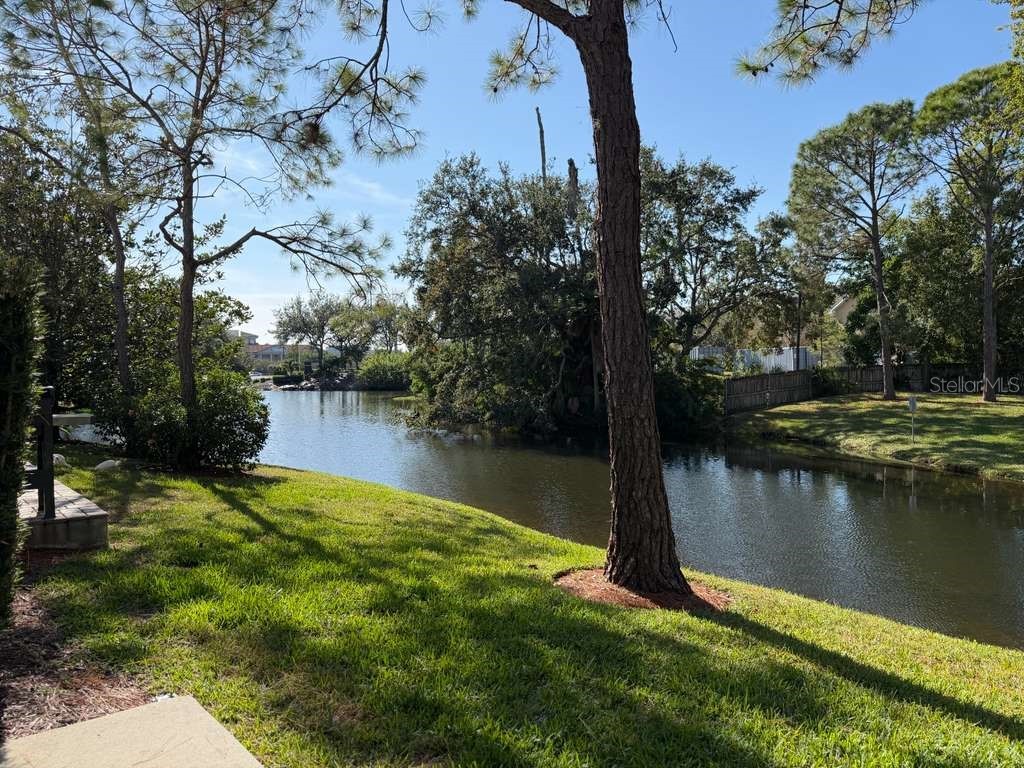 13606 Eagles Walk Drive Clearwater FL 33762 TB8415010 image24