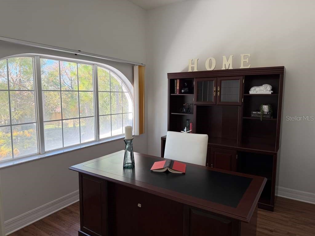 13606 Eagles Walk Drive Clearwater FL 33762 TB8415010 image9