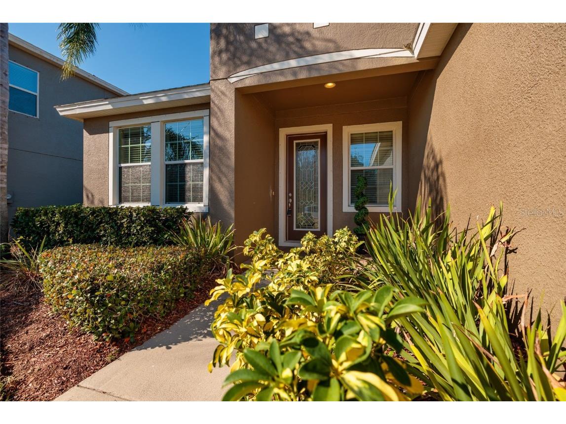 13607 Artesa Bell Drive Riverview FL 33579 TB8452842 image45