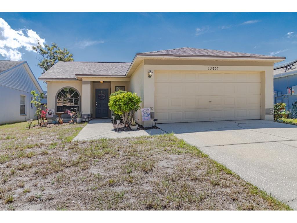 13607 Laraway Drive Riverview FL 33579 T3529753 image1