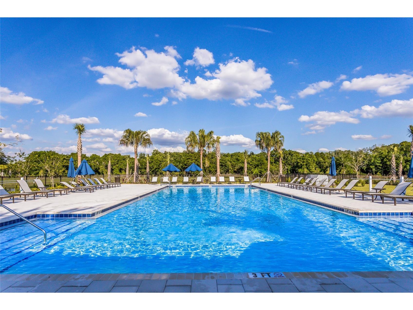 13608 American Prairie Place Lakewood Ranch FL 34211 A4685108 image73