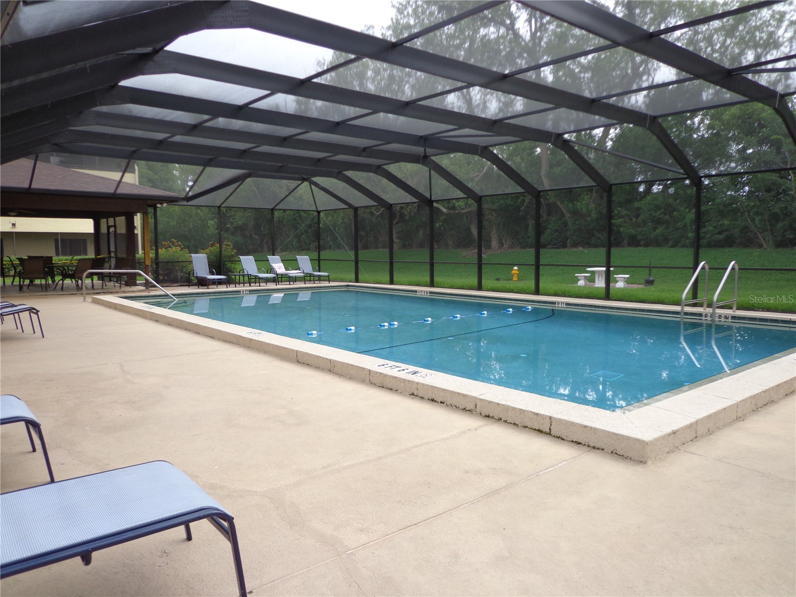 13608 S Village Drive #7103 Tampa FL 33618 TB8514124 image20