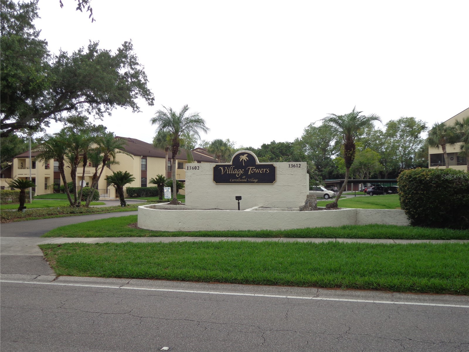 13608 S Village Drive #7103 Tampa FL 33618 TB8514124 image4