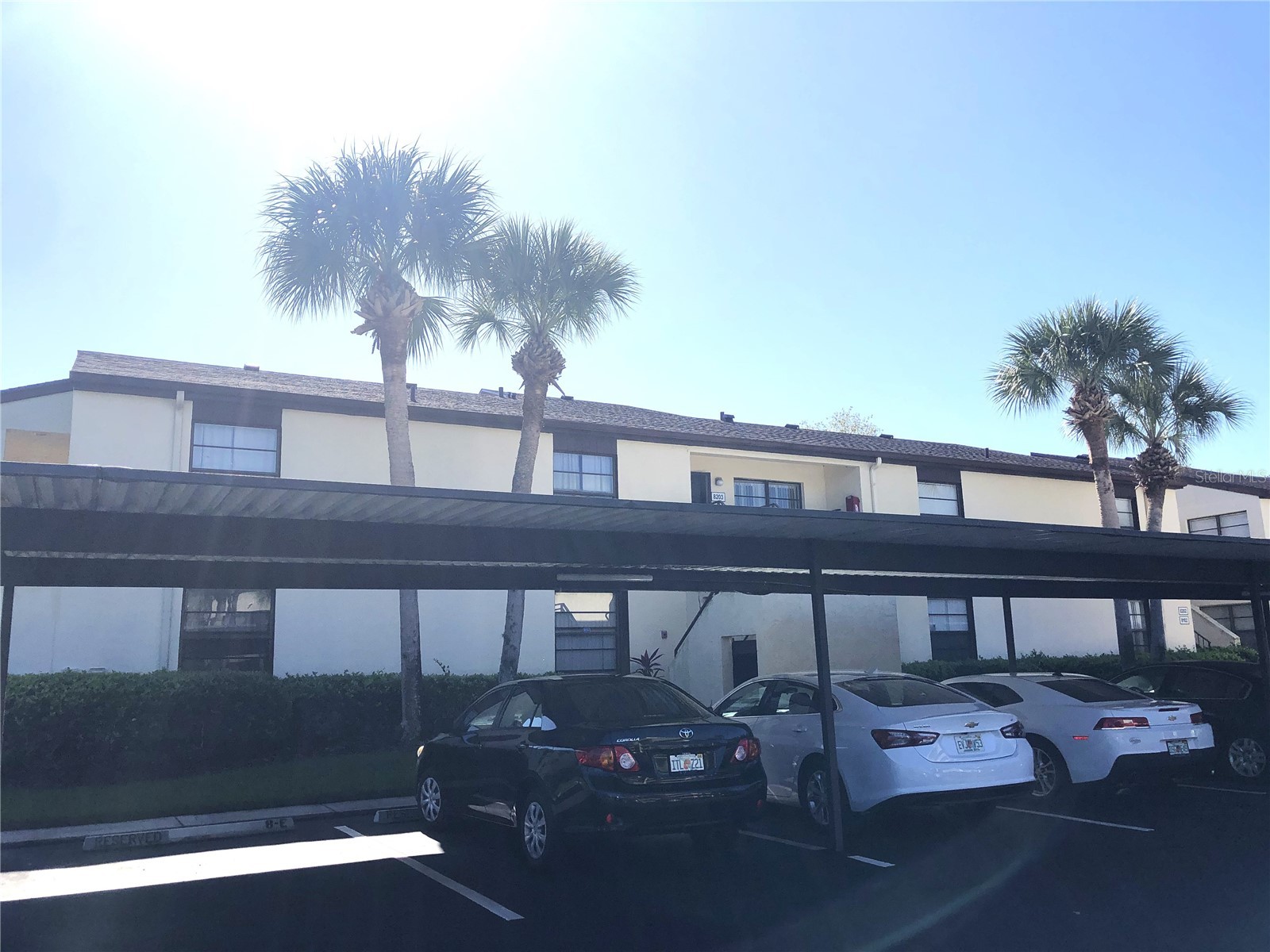 13608 S Village Drive #8203 Tampa FL 33618 TB8496285 image1
