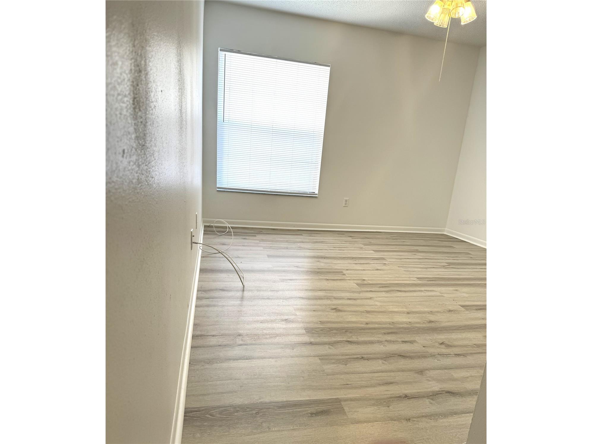13608 S Village Drive #8203 Tampa FL 33618 TB8496285 image11