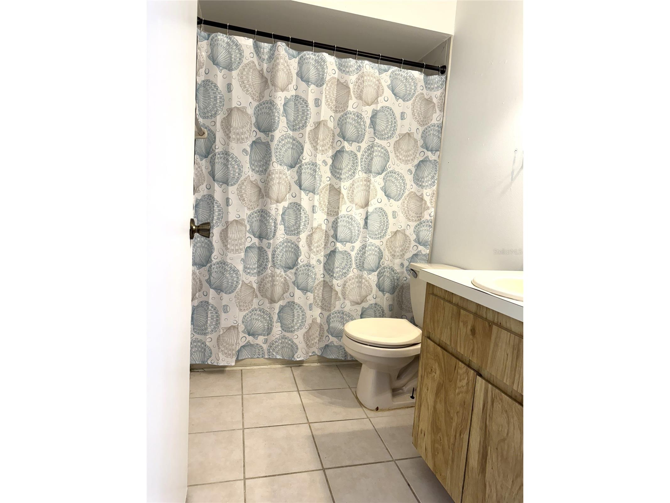 13608 S Village Drive #8203 Tampa FL 33618 TB8496285 image14