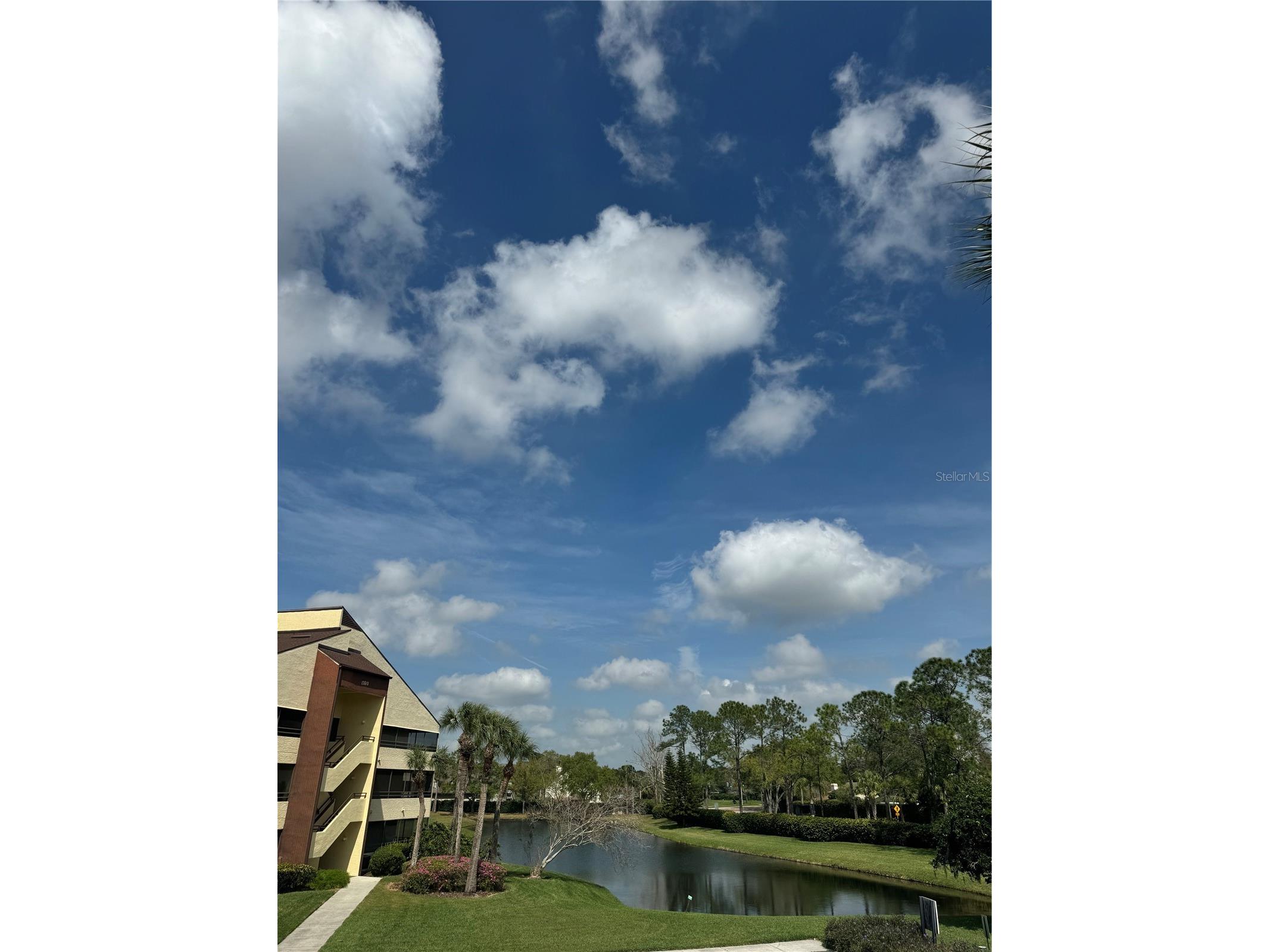 13608 S Village Drive #8203 Tampa FL 33618 TB8496285 image2