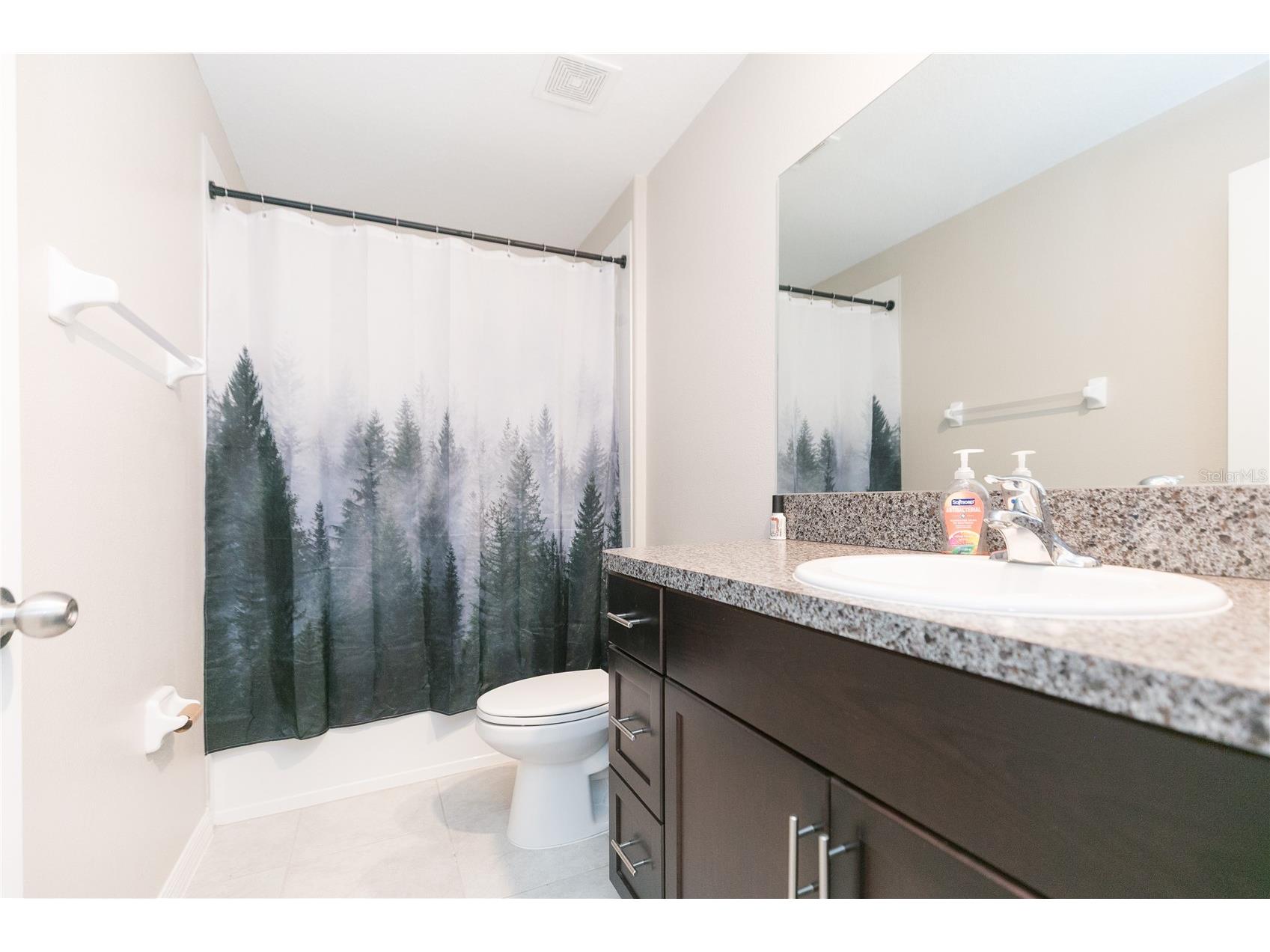 13608 Willow Bluestar Loop Riverview FL 33579 TB8508010 image17