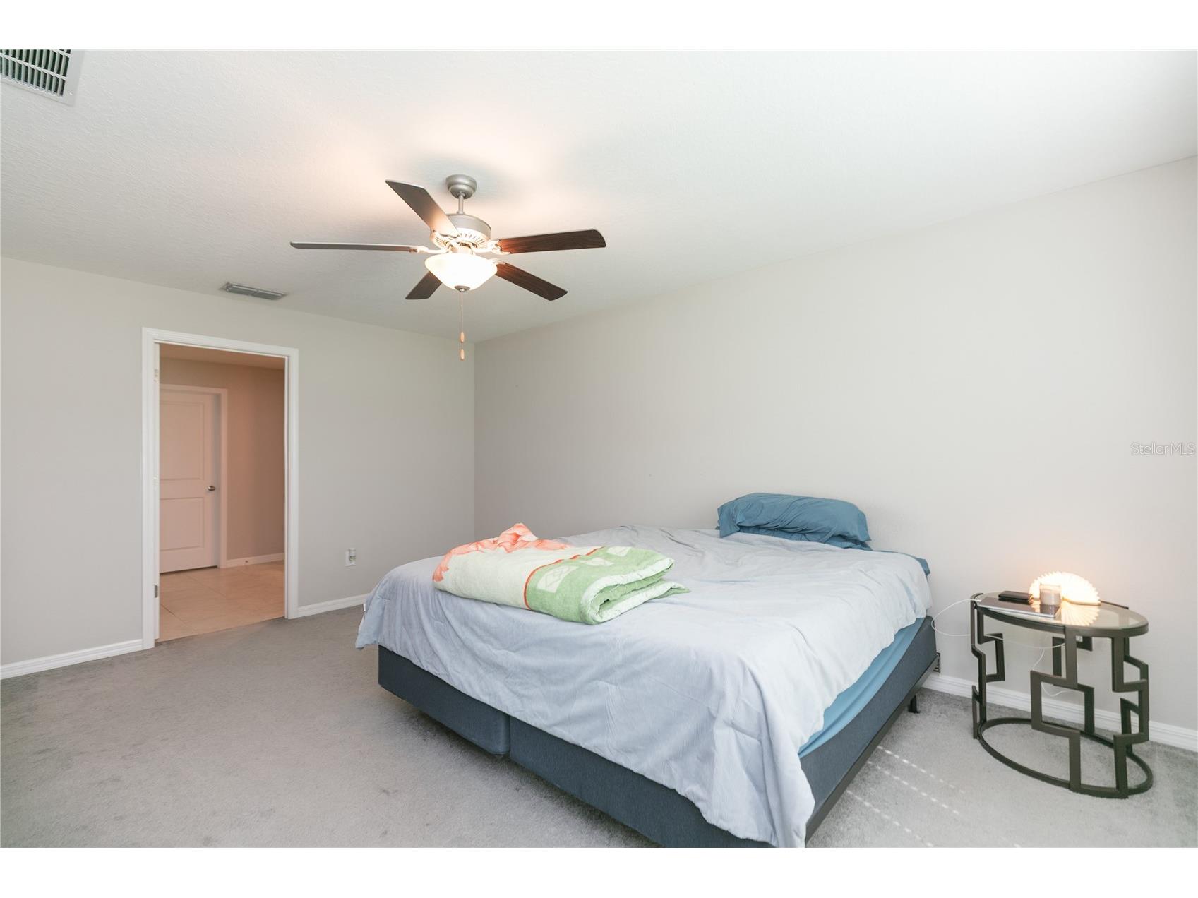 13608 Willow Bluestar Loop Riverview FL 33579 TB8508010 image22