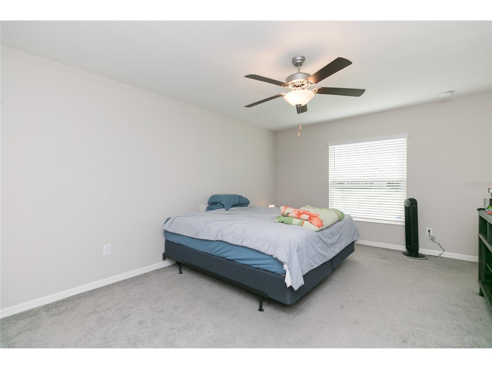 13608 Willow Bluestar Loop Riverview FL 33579 TB8508010 image24