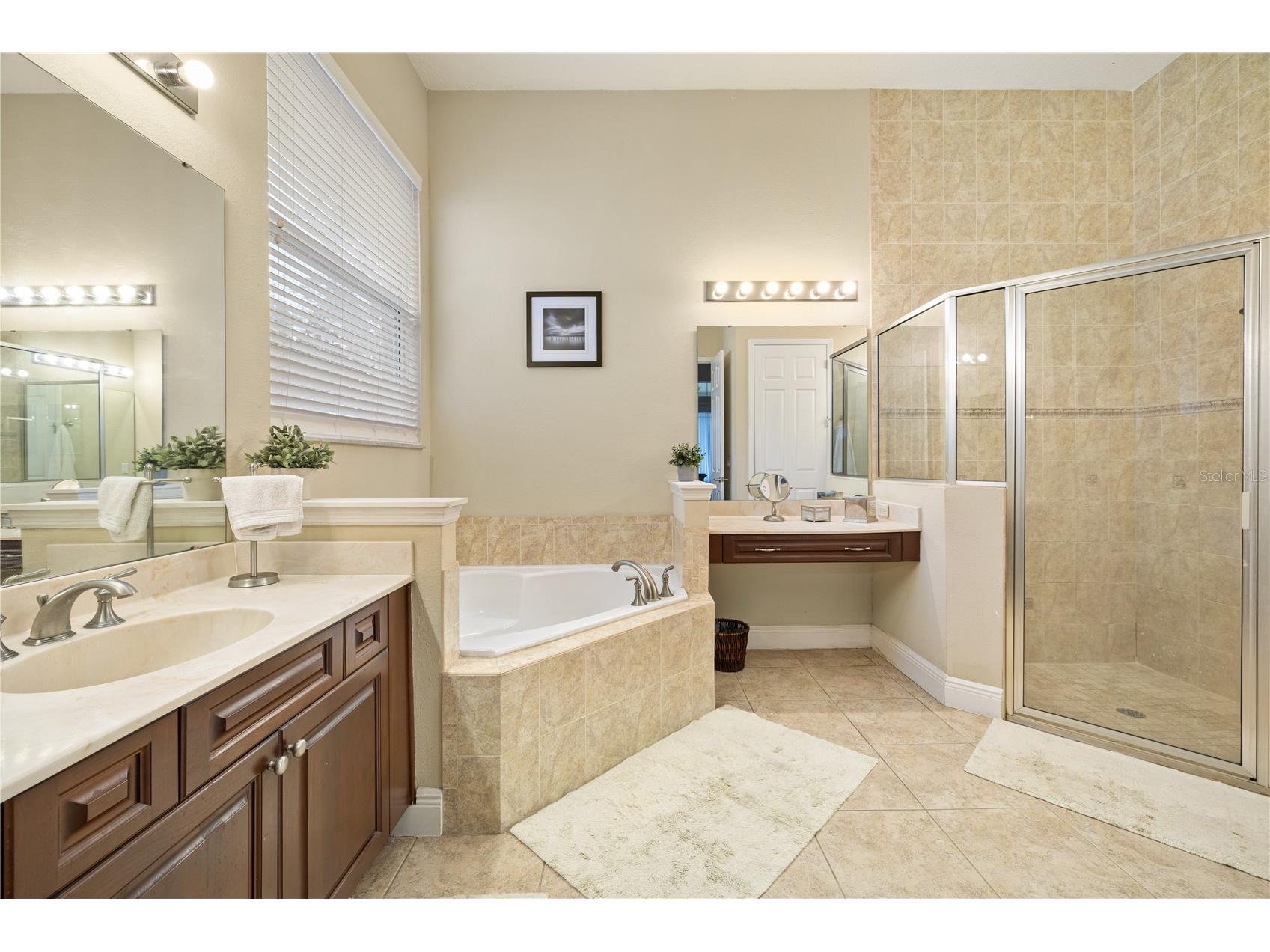 13609 Ancilla Boulevard Windermere FL 34786 O6381542 image21