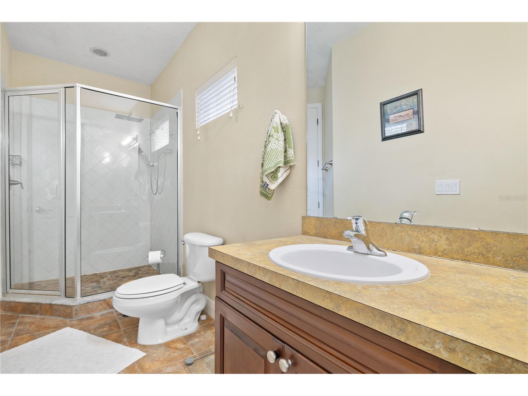 13609 Ancilla Boulevard Windermere FL 34786 O6381542 image48