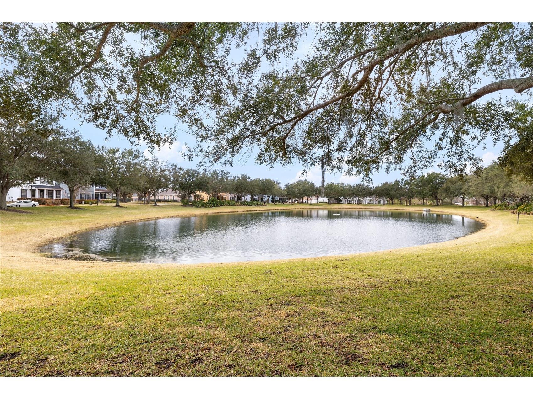 13609 Ancilla Boulevard Windermere FL 34786 O6381542 image58
