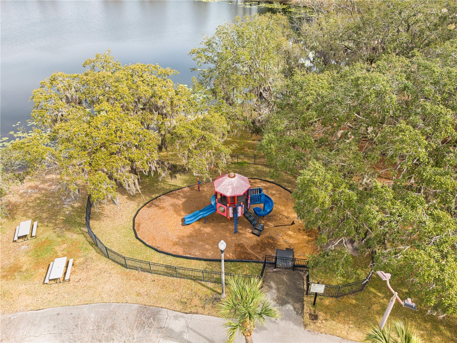 13609 Ancilla Boulevard Windermere FL 34786 O6381542 image65