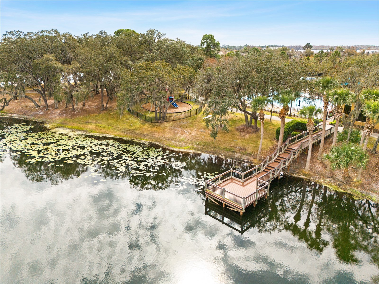 13609 Ancilla Boulevard Windermere FL 34786 O6381542 image66