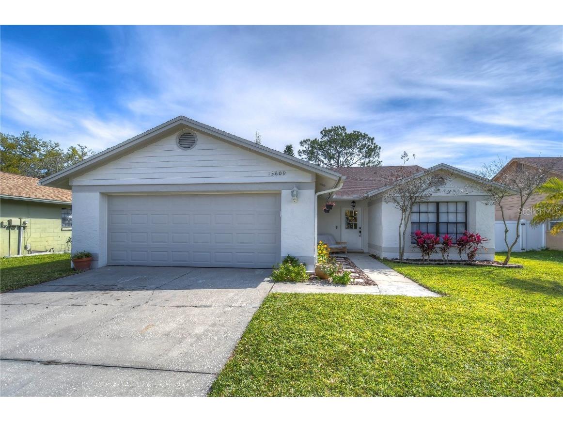 13609 Fawn Ridge Boulevard Tampa FL 33626 T3509655 image1