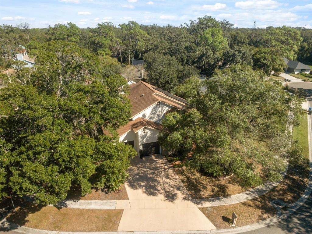 13609 Heritage Way Tampa FL 33613 W7880272 image59