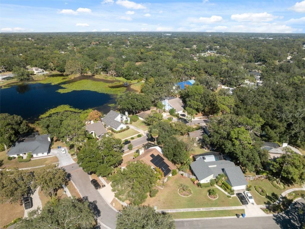 13609 Heritage Way Tampa FL 33613 W7880272 image60