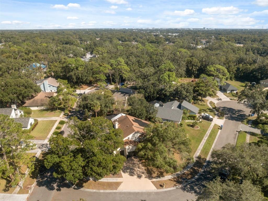 13609 Heritage Way Tampa FL 33613 W7880272 image62