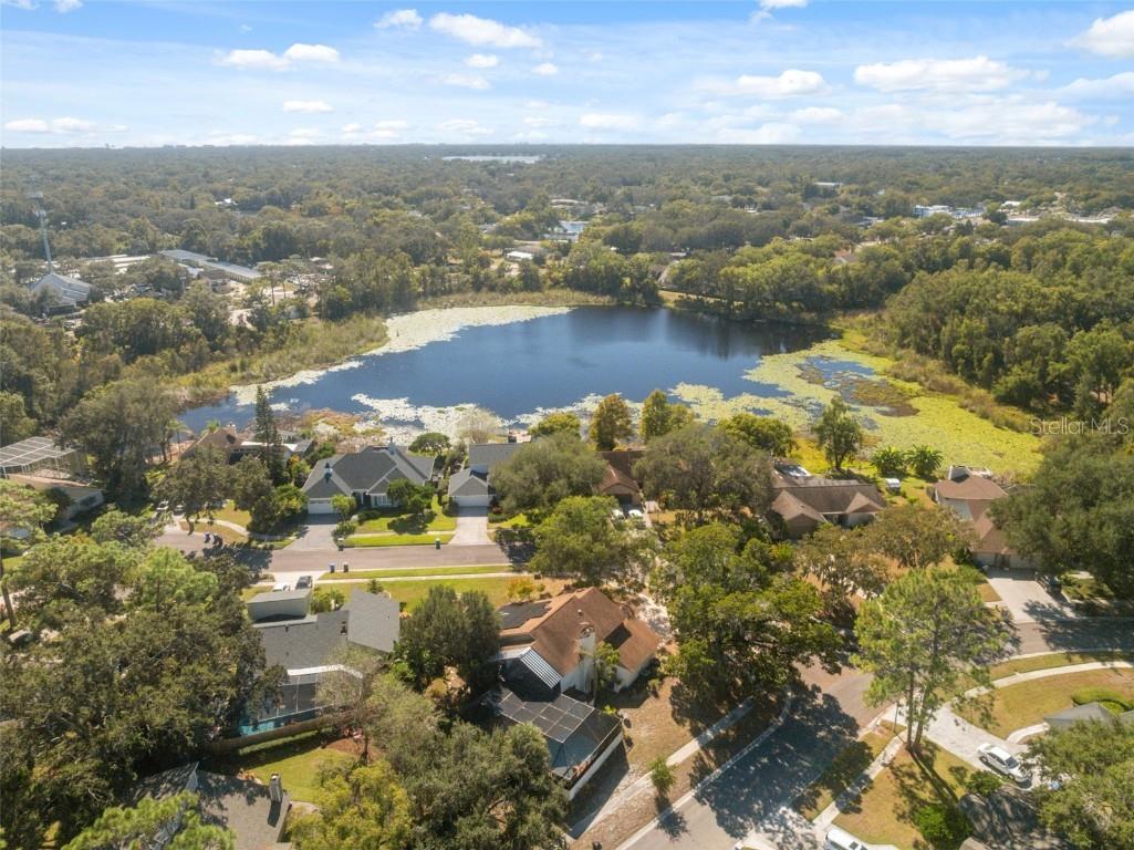 13609 Heritage Way Tampa FL 33613 W7880272 image67