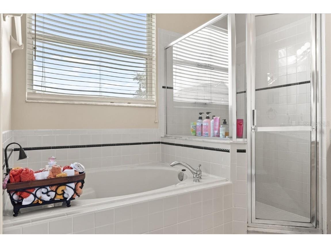 13609 Sky Blue Court Orlando FL 32828 O6361941 image44