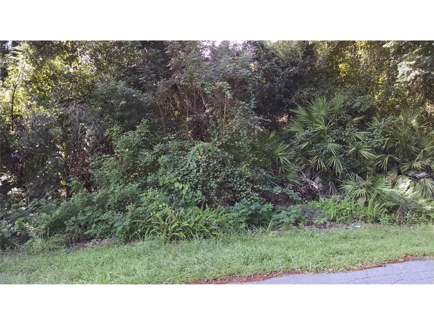 1361 Howland Boulevard Deltona FL 32738 R4911146 image1