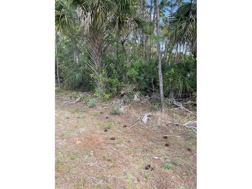 1361 Lockmar Avenue SW Palm Bay FL 32908 O6093962 image1