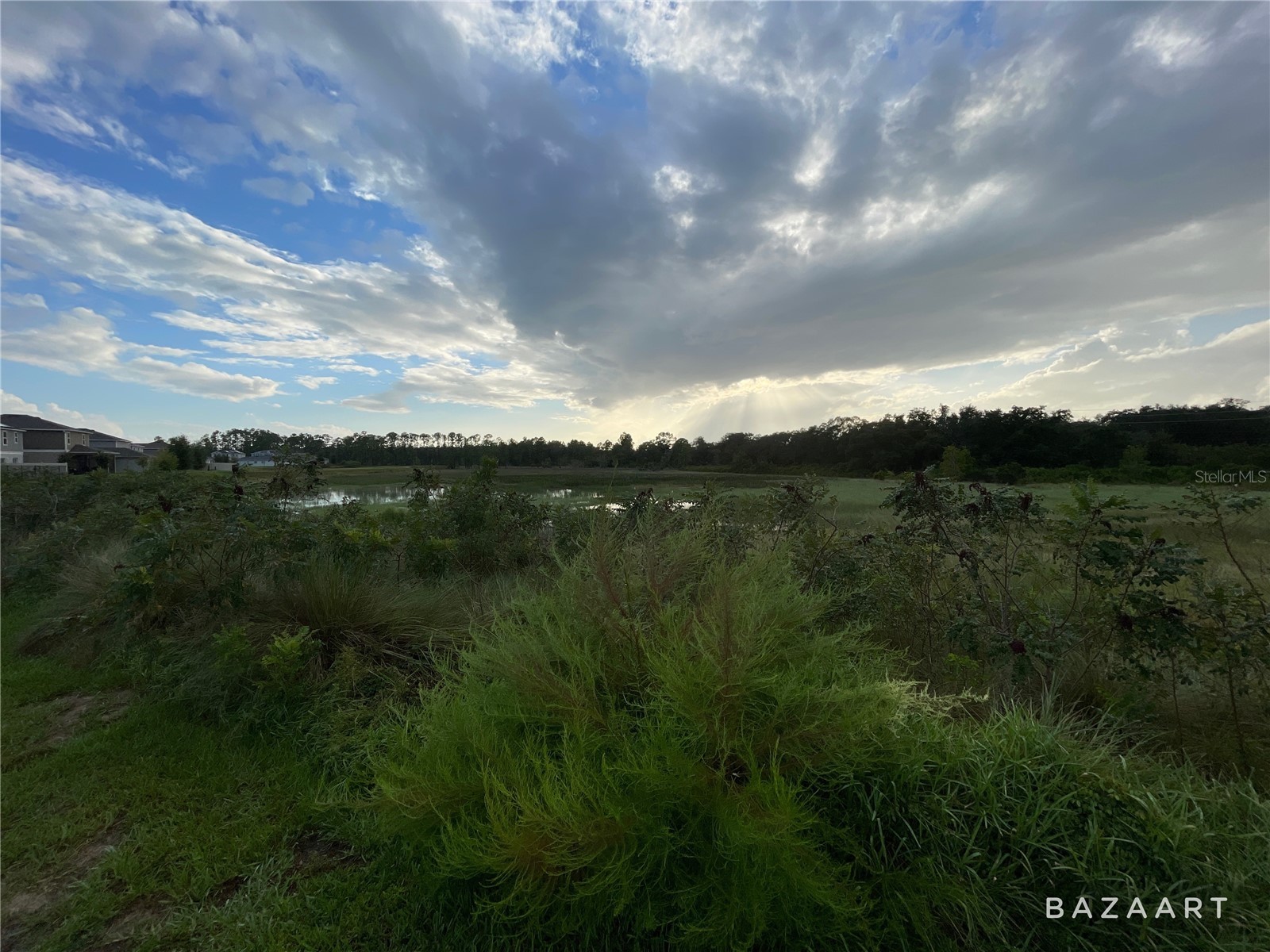 1361 Sawgrass Hammock Lane Davenport FL 33837 O6379111 image6