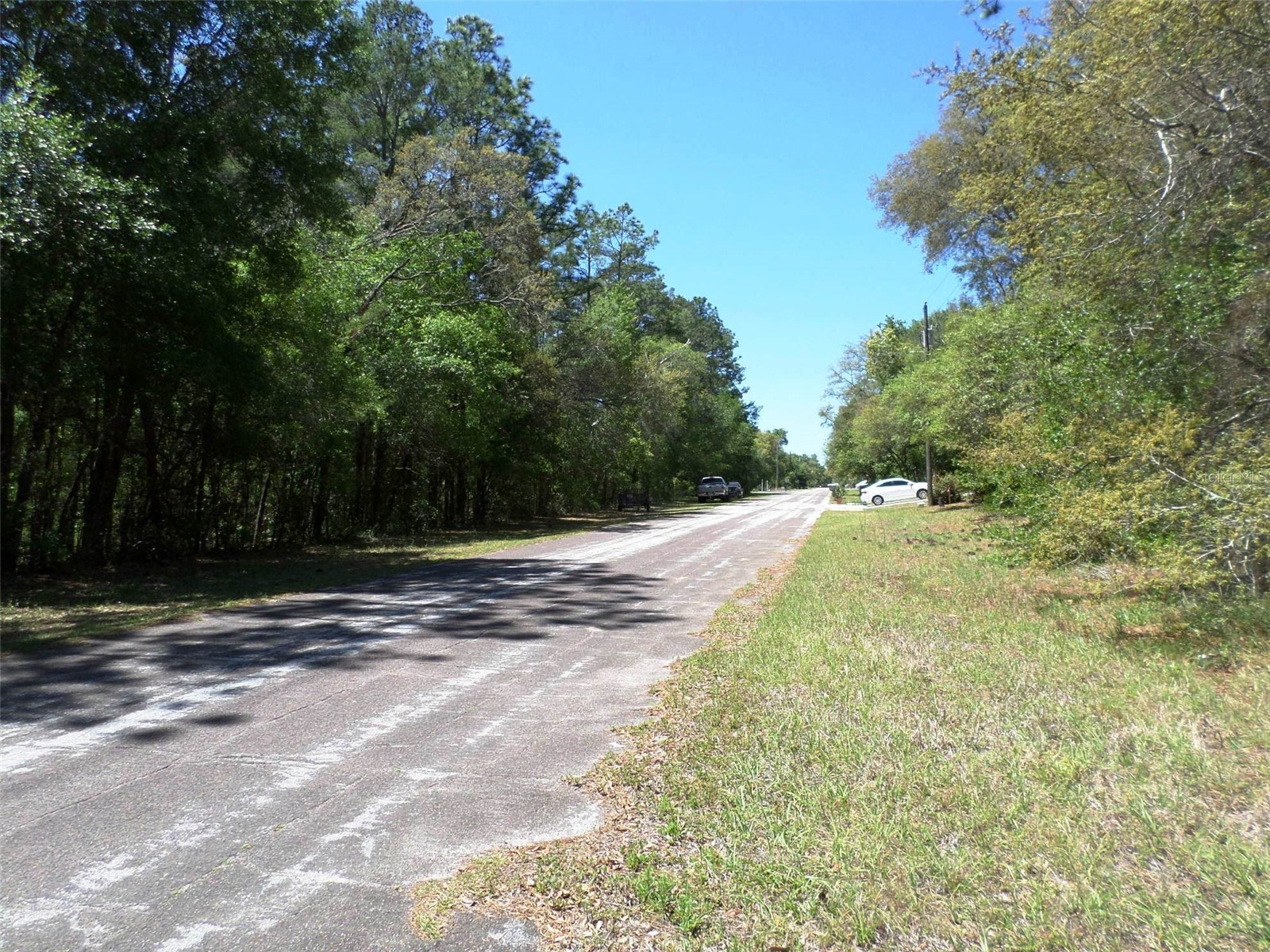 1361 W Saint Elizabeth Place Citrus Springs FL 34434 OM722761 image22