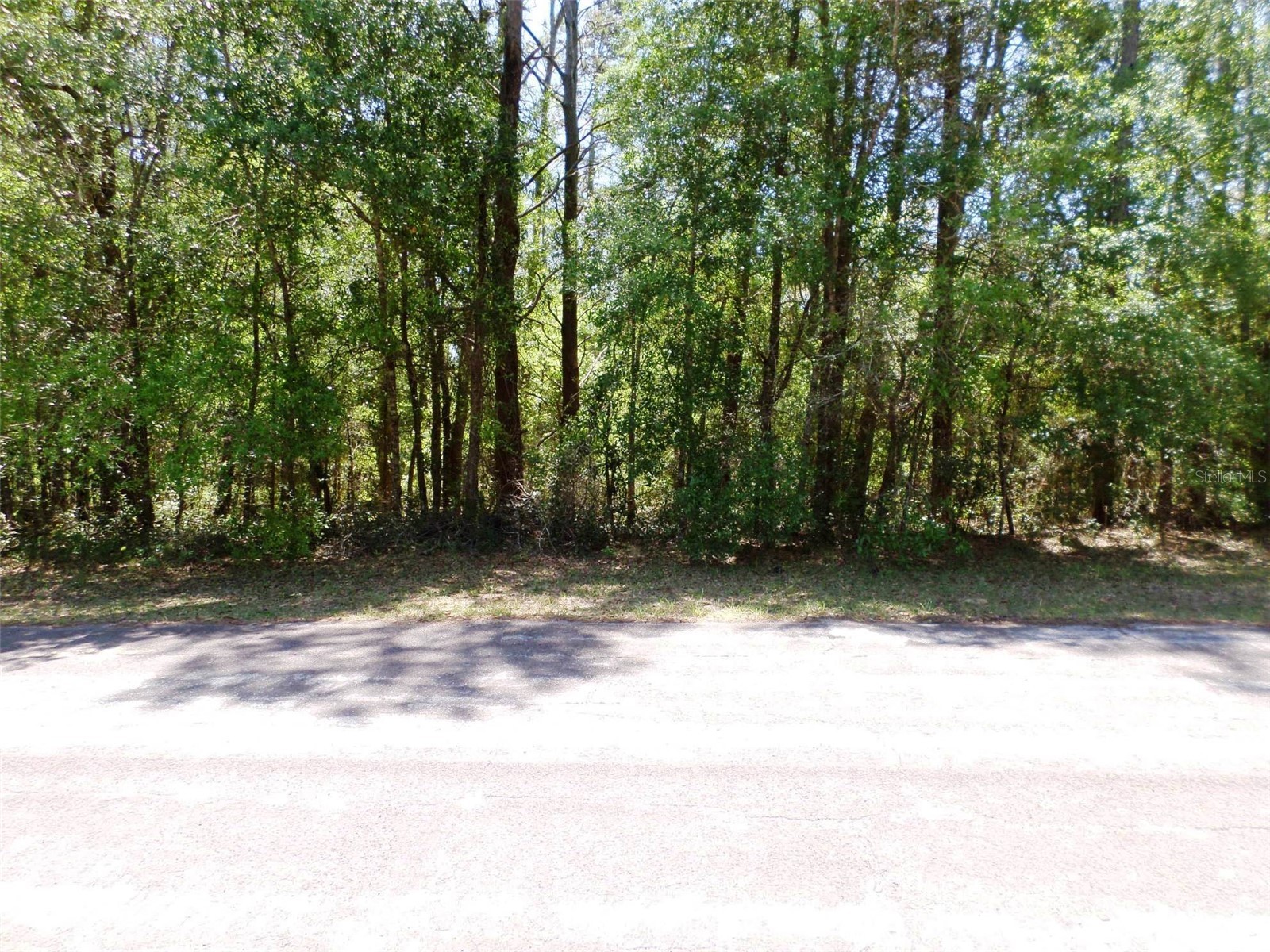 1361 W Saint Elizabeth Place Citrus Springs FL 34434 OM722761 image23