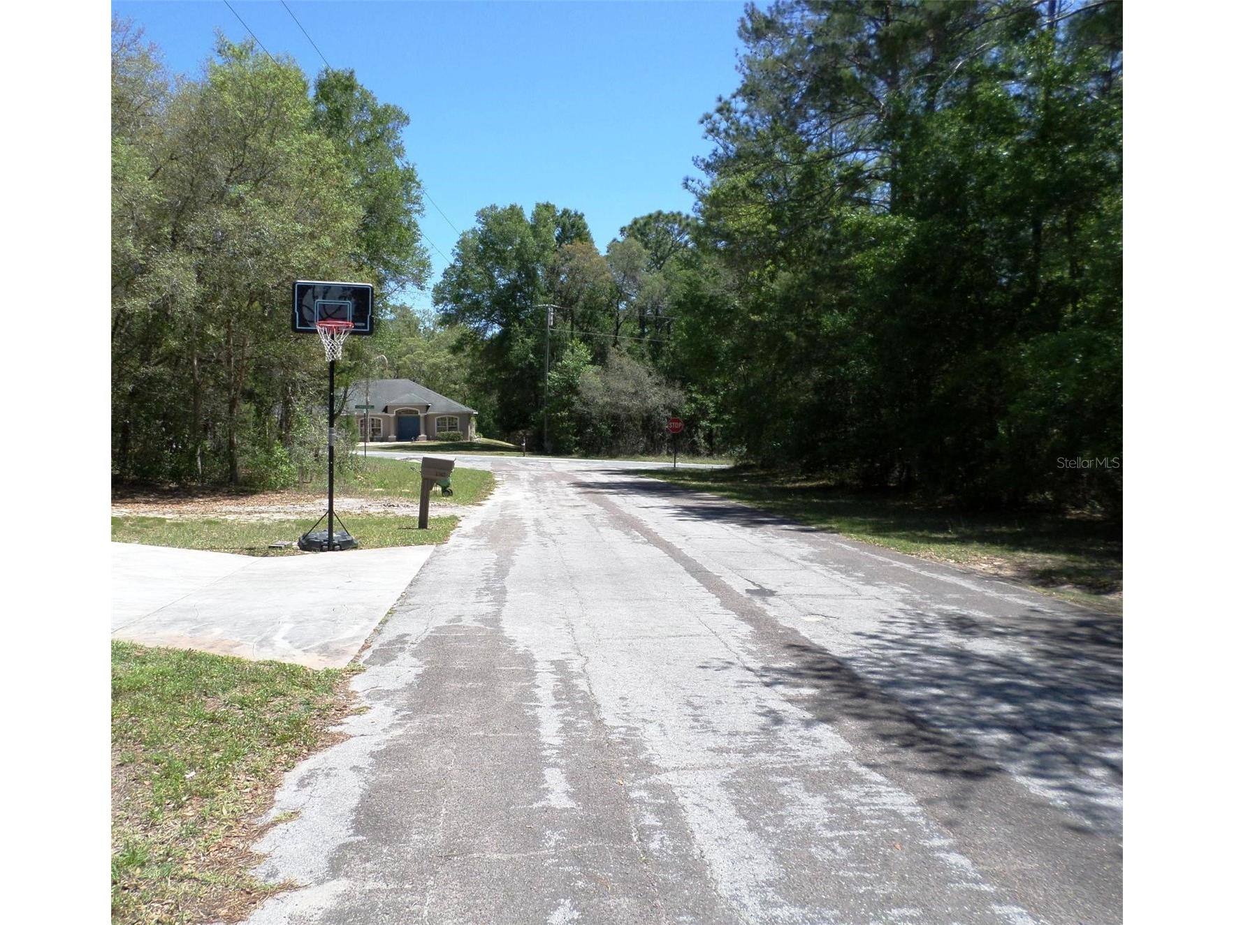 1361 W Saint Elizabeth Place Citrus Springs FL 34434 OM722761 image24