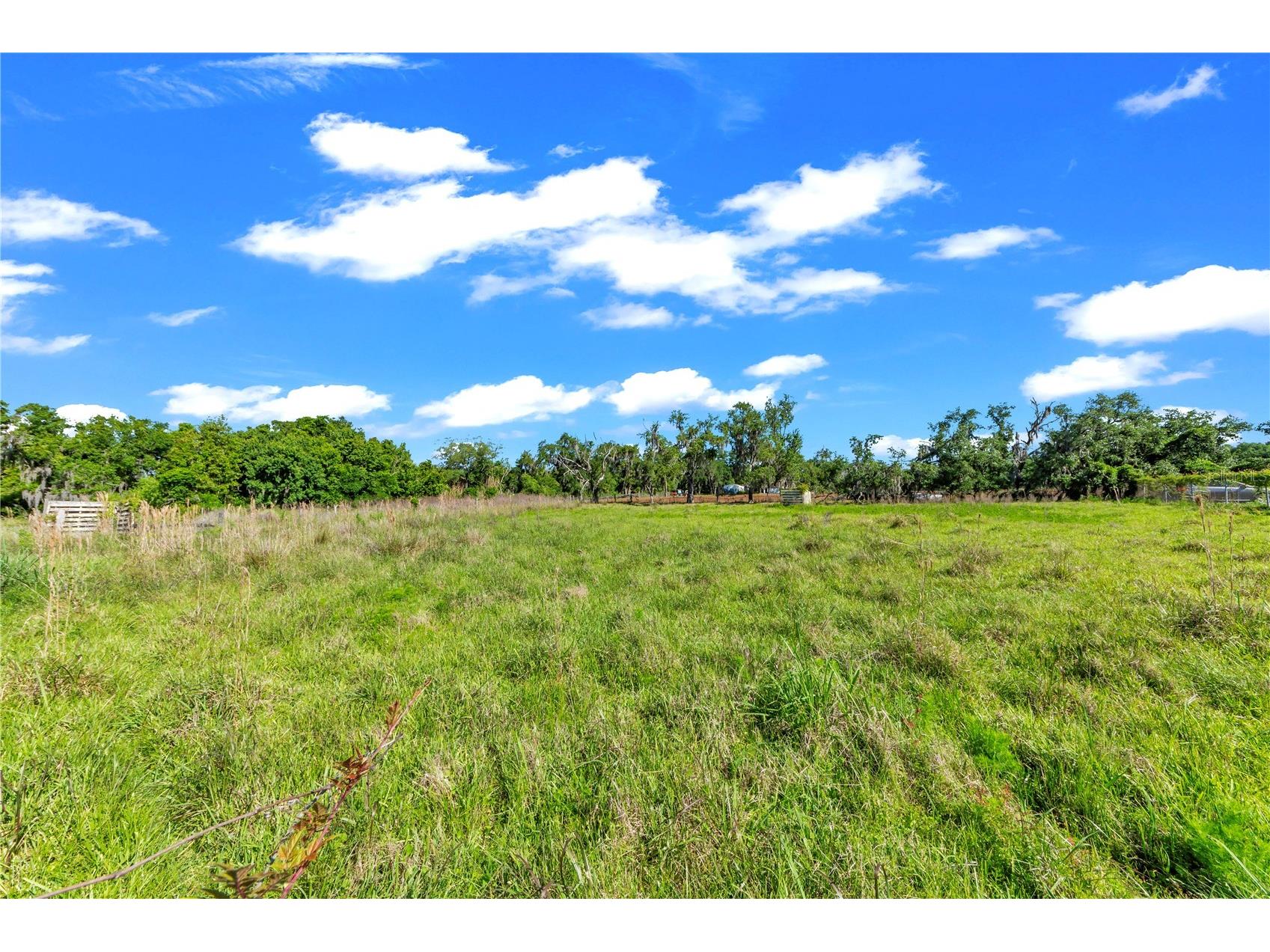 13610 Acker Road Dover FL 33527 TB8508555 image23